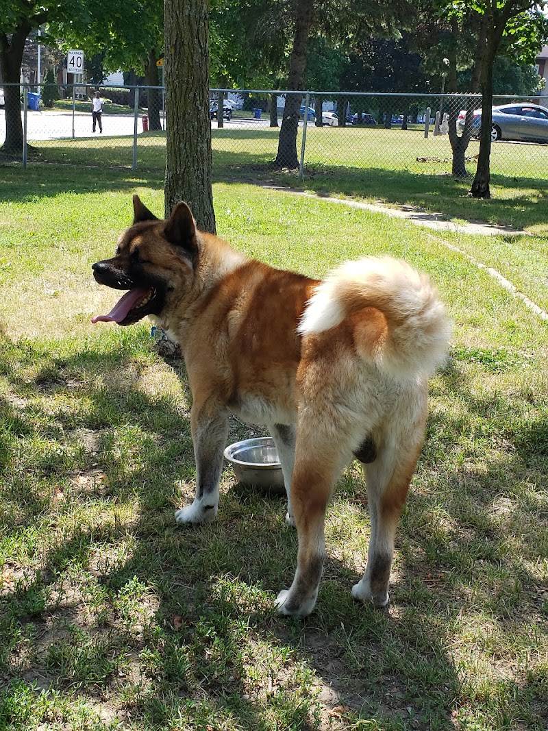 Alfred-Dorais Dog Park dog park in Châteauguay, Quebec