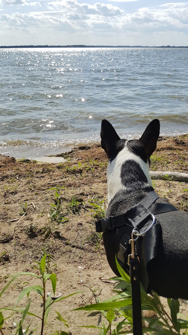 Dog Park dog park in L'Île-Perrot, Quebec