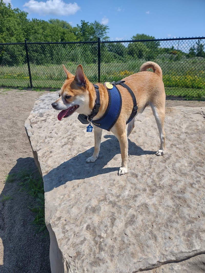 Dog Park - Salaberry-de-Valleyfield dog park in Salaberry-de-Valleyfield, Quebec