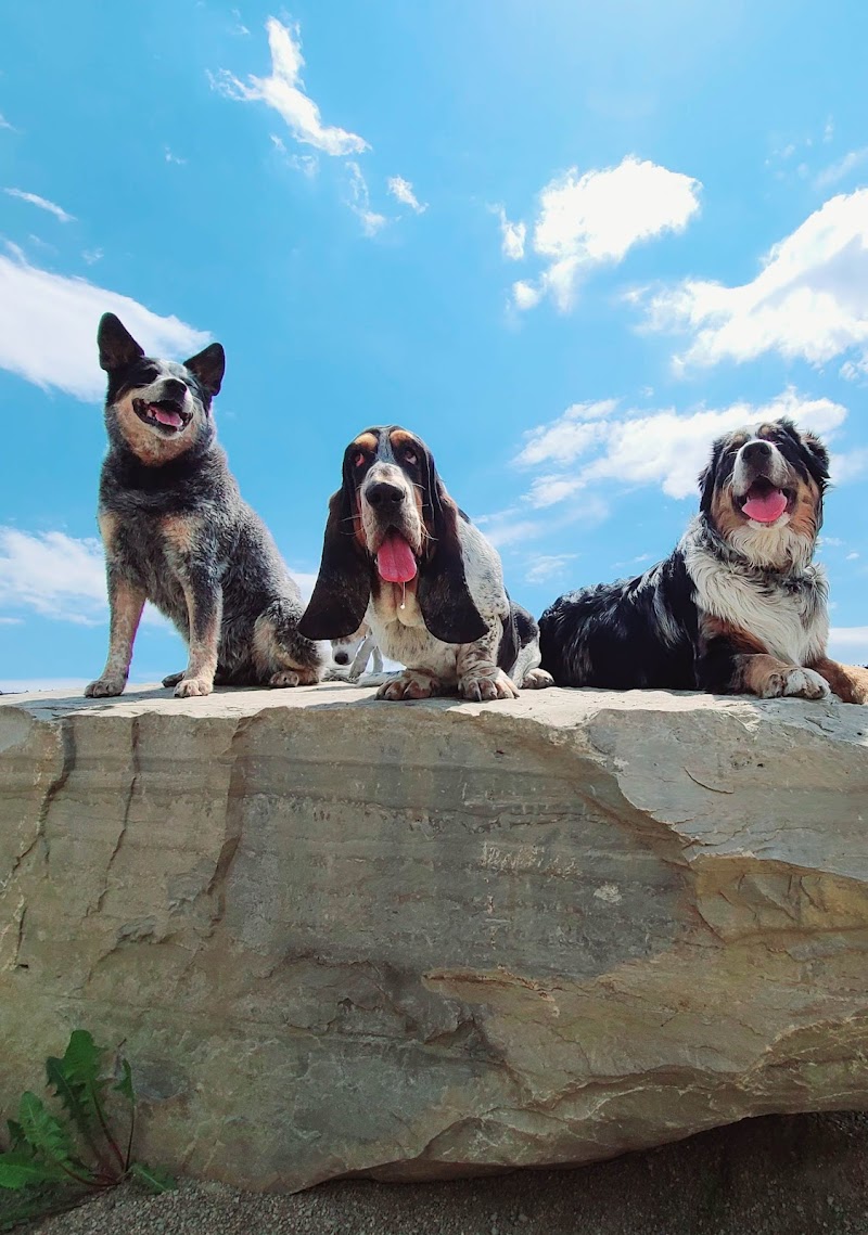 Dog Park - Salaberry-de-Valleyfield dog park in Salaberry-de-Valleyfield, Quebec