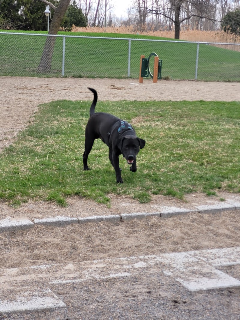 Parc canin dog park in Salaberry-de-Valleyfield, Quebec