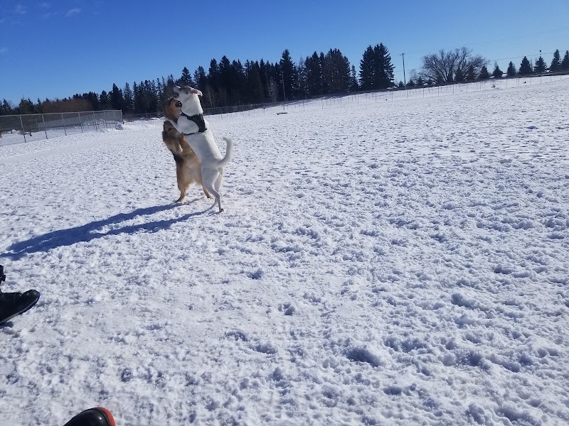 Lloydminster Off-leash Dog Park dog park in Lloydminster, Saskatchewan