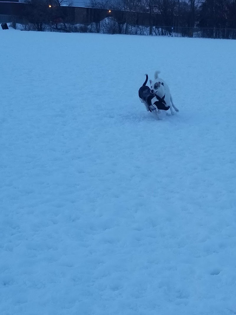 Lloydminster Off-leash Dog Park dog park in Lloydminster, Saskatchewan
