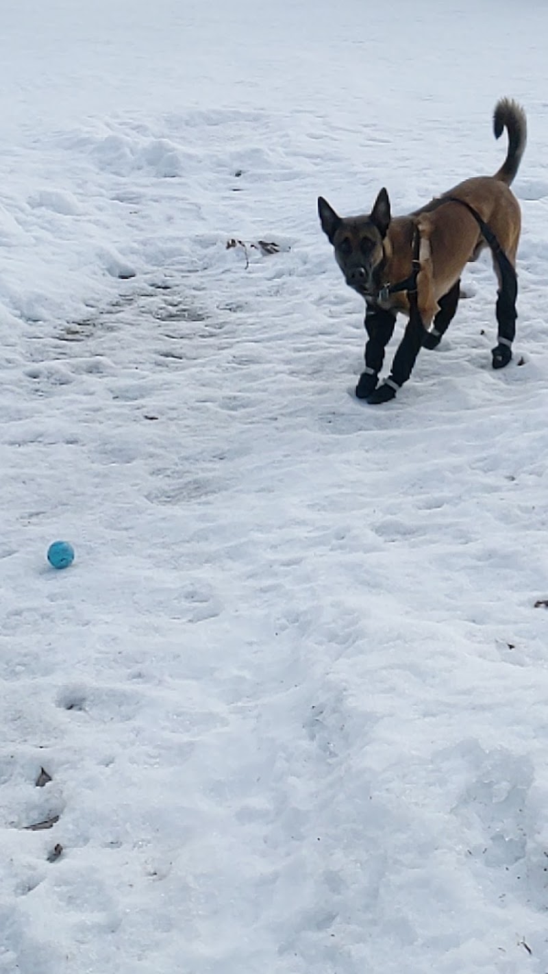 Lloydminster Off-leash Dog Park dog park in Lloydminster, Saskatchewan