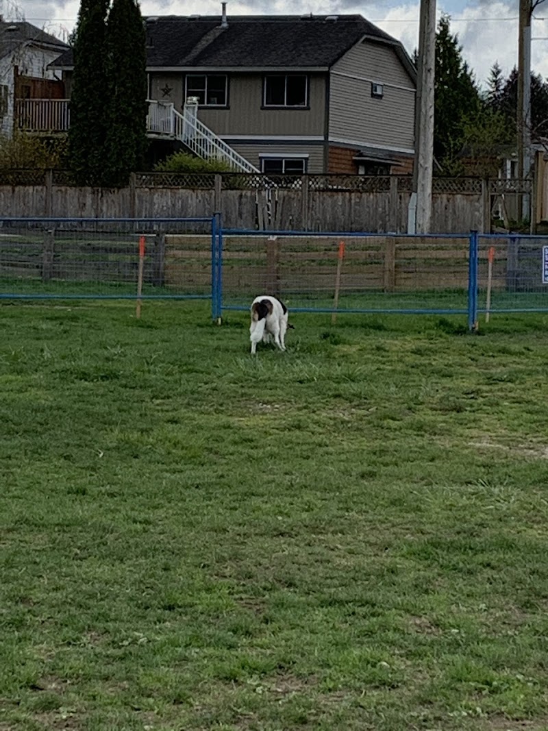 Port Kells Substation Off-Leash Dog Park dog park in Langley Twp, British Columbia