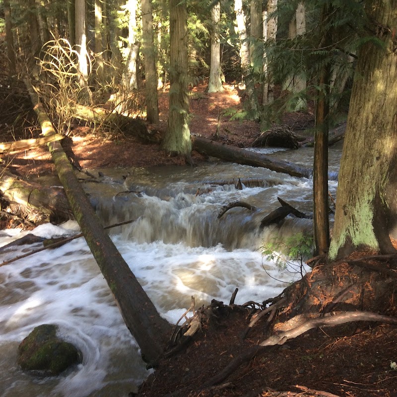 BX Ranch Dog Park dog park in Vernon, British Columbia
