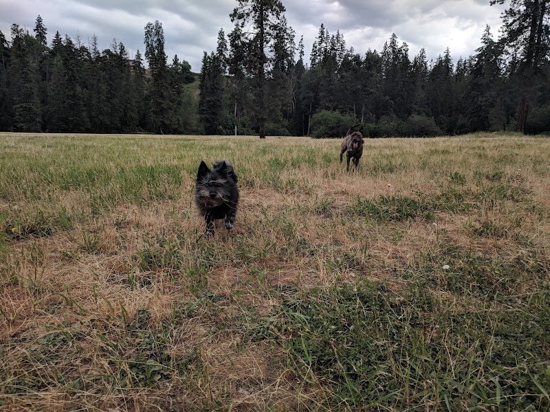 BX Ranch Dog Park dog park in Vernon, British Columbia