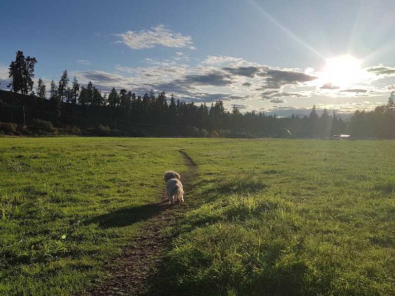 BX Ranch Dog Park dog park in Vernon, British Columbia