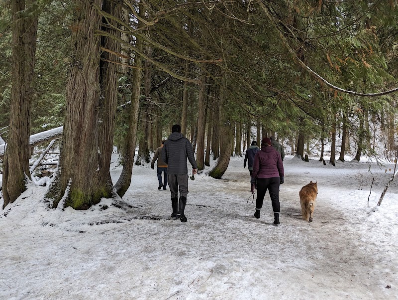 BX Ranch Dog Park dog park in Vernon, British Columbia