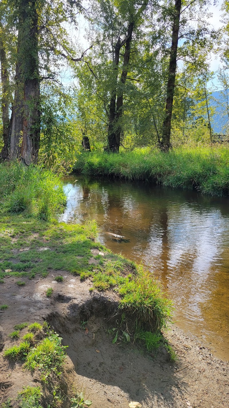 Salmon Trail Dog Park dog park in Lumby, British Columbia