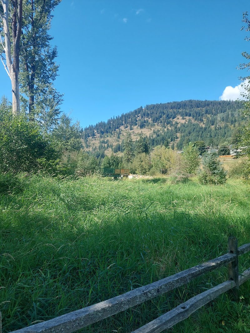 Salmon Trail Dog Park dog park in Lumby, British Columbia