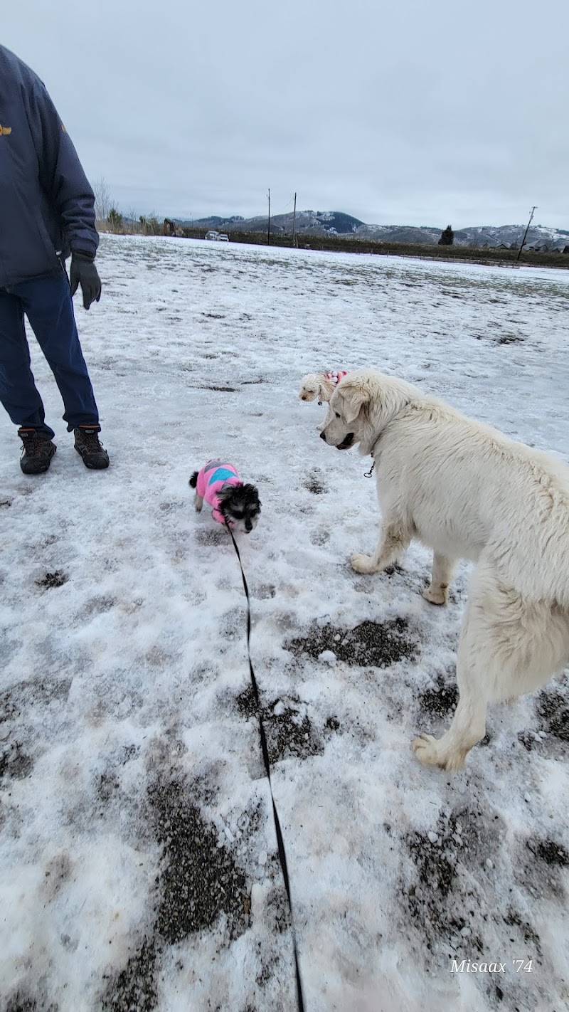 Mutrie Dog Park dog park in Vernon, British Columbia