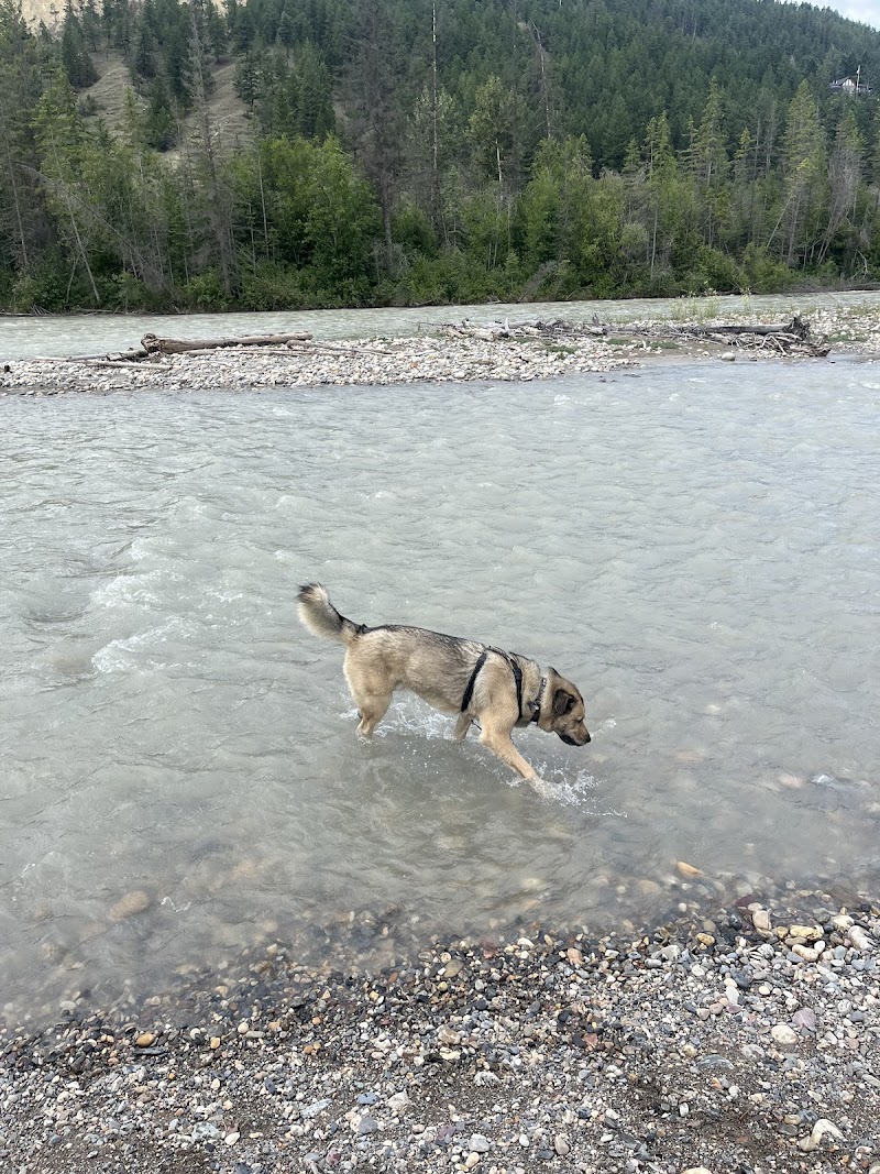 Invermere dog park dog park in East Kootenay F, British Columbia
