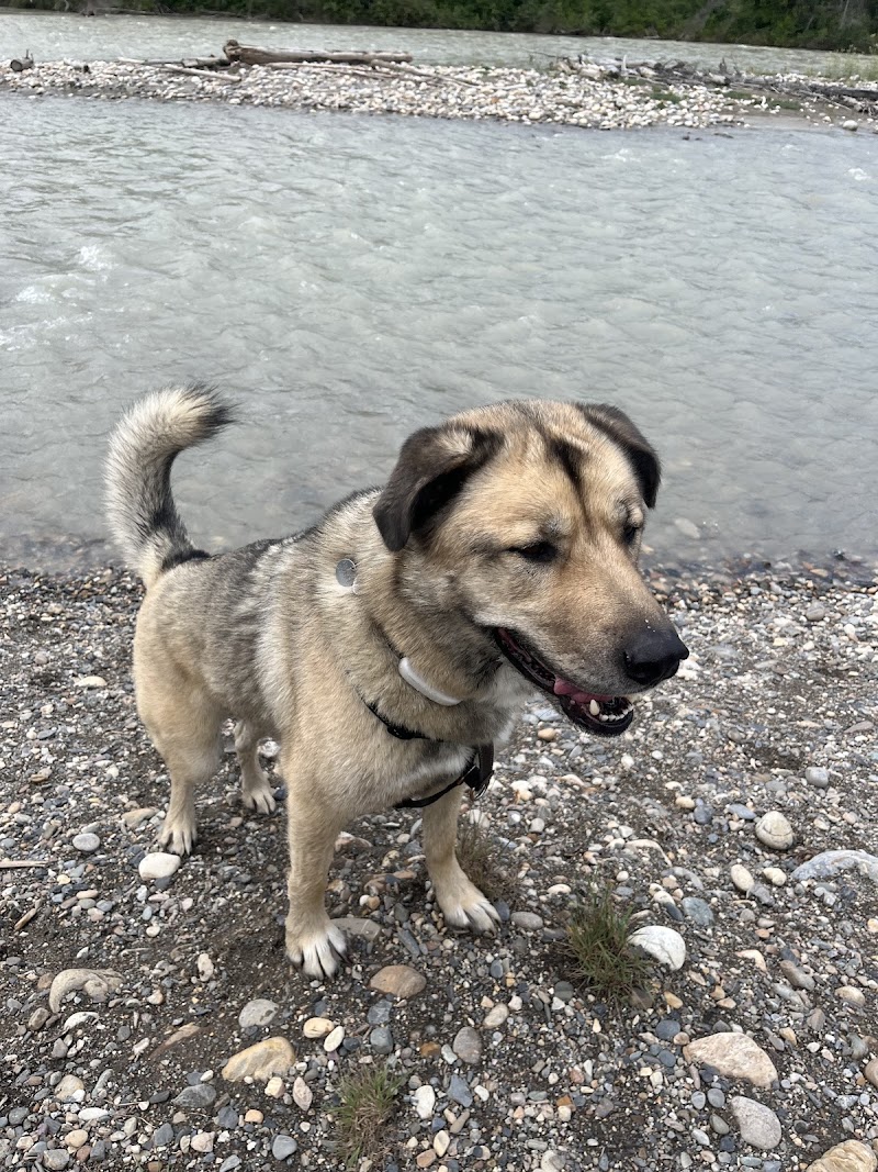 Invermere dog park dog park in East Kootenay F, British Columbia