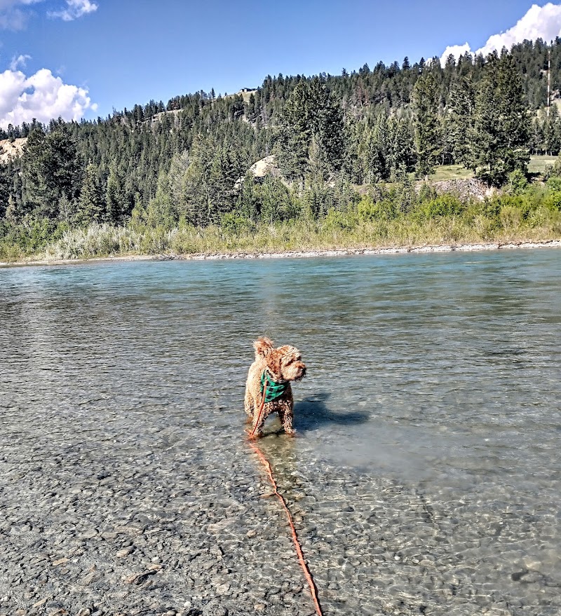 Invermere dog park dog park in East Kootenay F, British Columbia