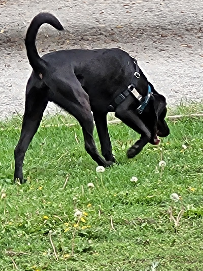 Creston Dog Park dog park in Creston, British Columbia