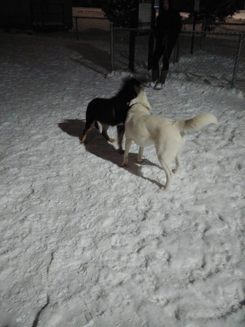 Creston Dog Park dog park in Creston, British Columbia