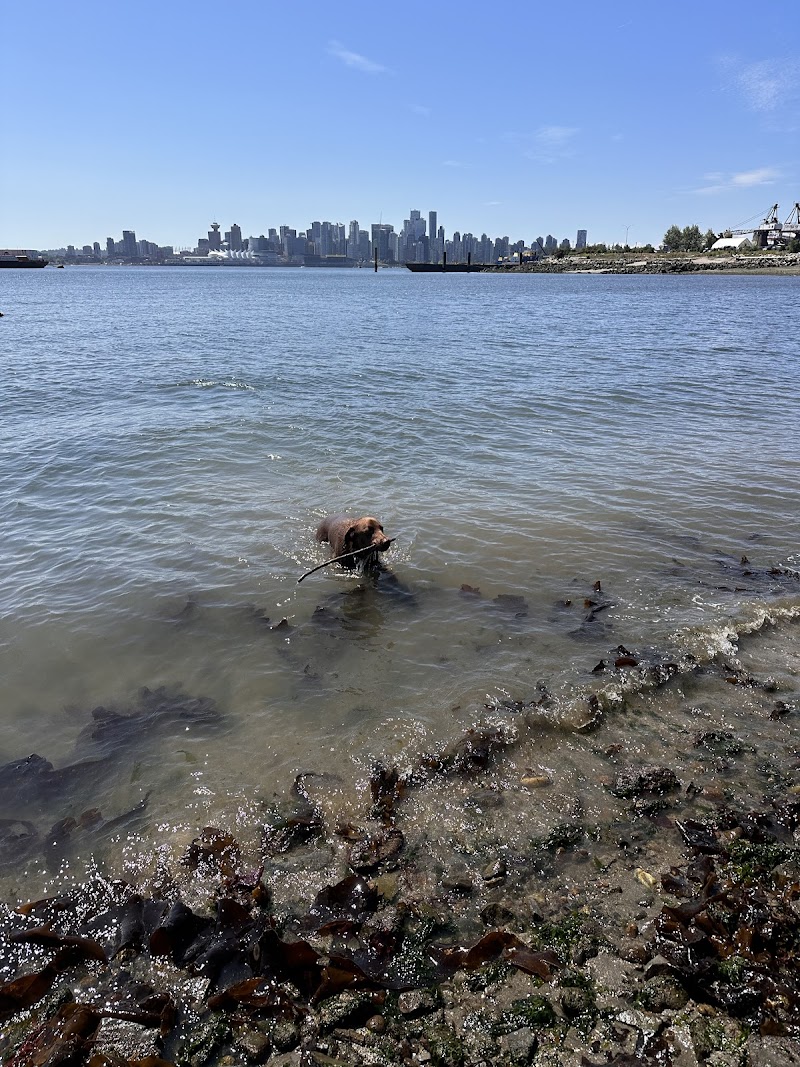 Kings Mill Dog Park - Off-Leash Area dog park in North Vancouver, British Columbia