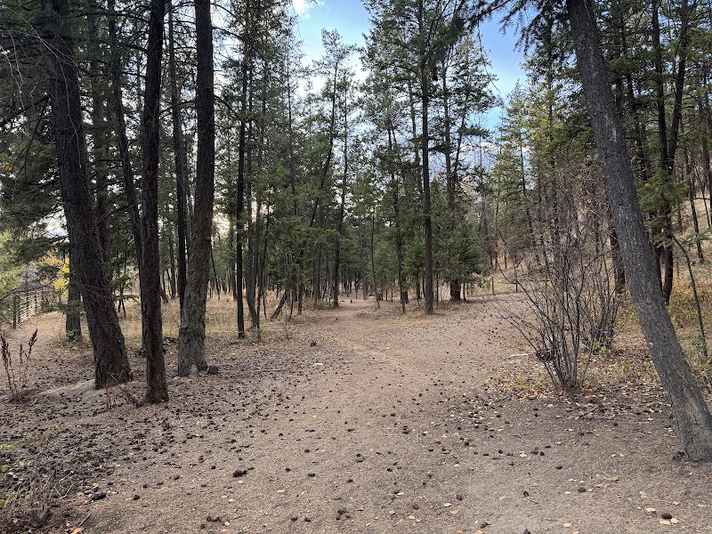 Lake Country Dog Park dog park in Lake Country, British Columbia