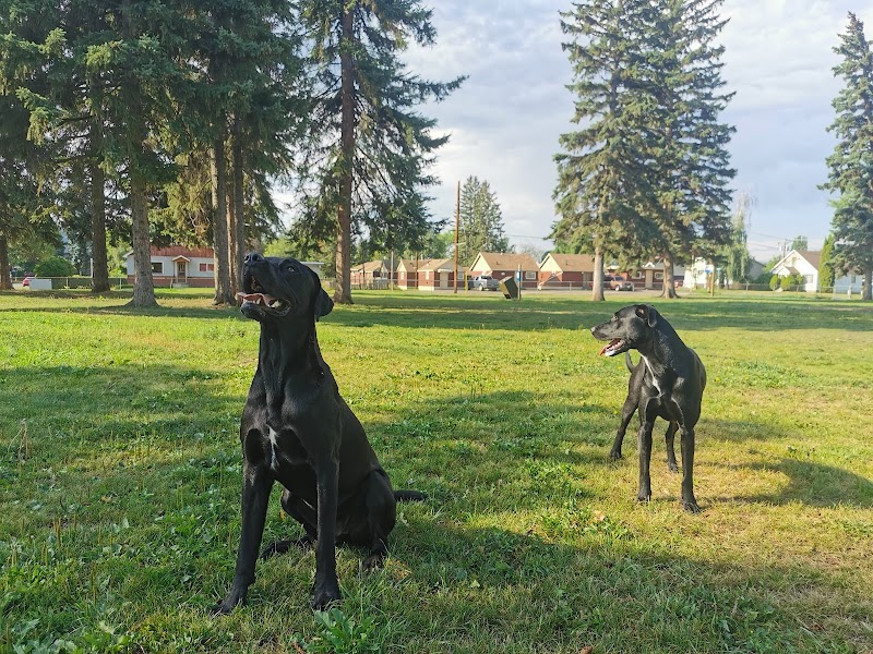 Ingledew Fenced Dog Park dog park in Prince George, British Columbia