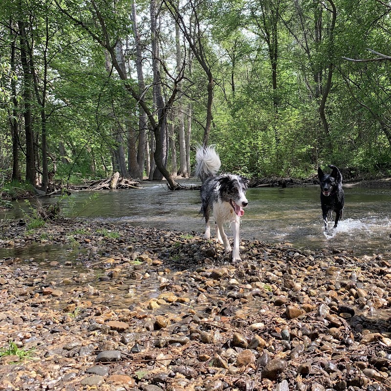 Creekside Off-Leash Dogpark dog park in Coldstream, British Columbia