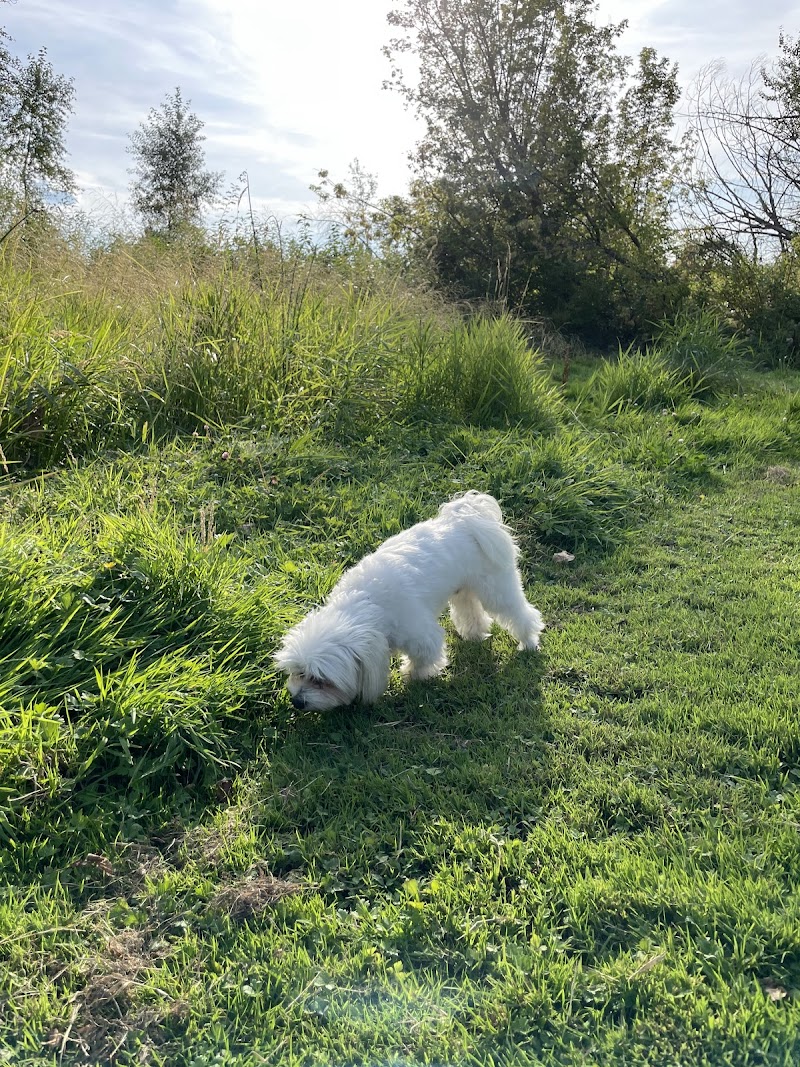 Creekside Off-Leash Dogpark dog park in Coldstream, British Columbia