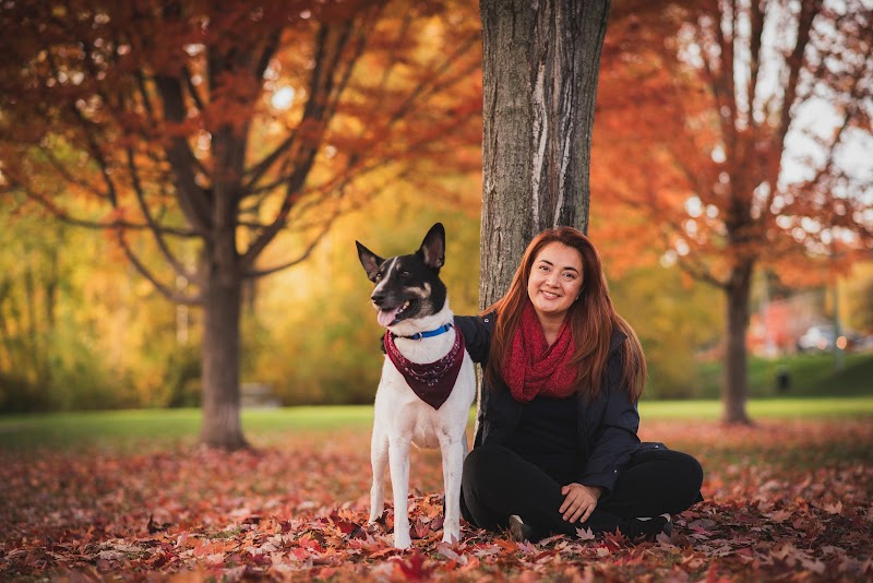 Creekside Off-Leash Dogpark dog park in Coldstream, British Columbia