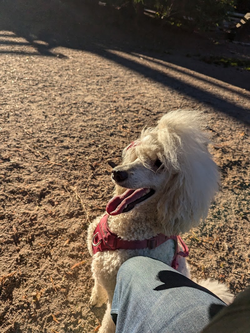 Dog Park dog park in Sunshine Coast Regional District, British Columbia