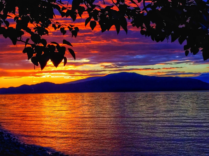Spanish Banks Off Leash Dog Area dog park in Vancouver, British Columbia