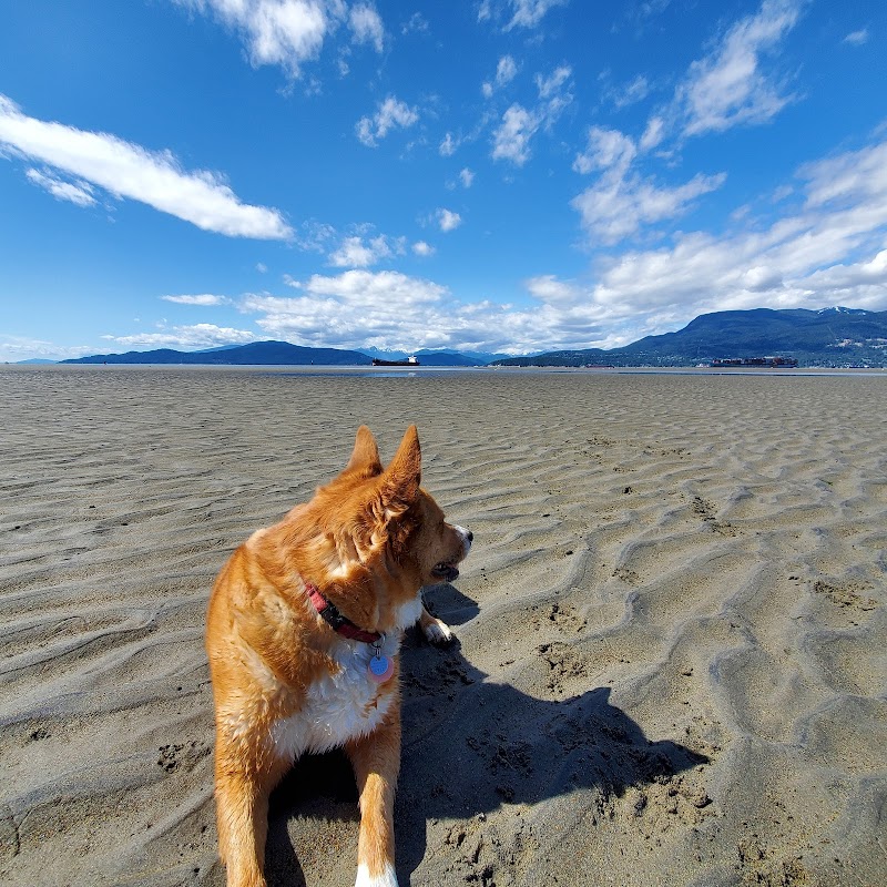 Spanish Banks Off Leash Dog Area dog park in Vancouver, British Columbia