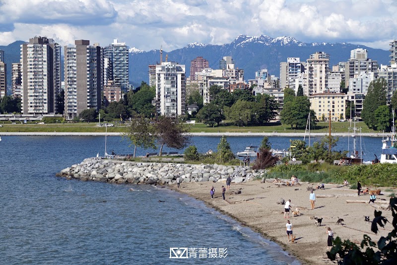 Hadden Beach dog park in Vancouver, British Columbia