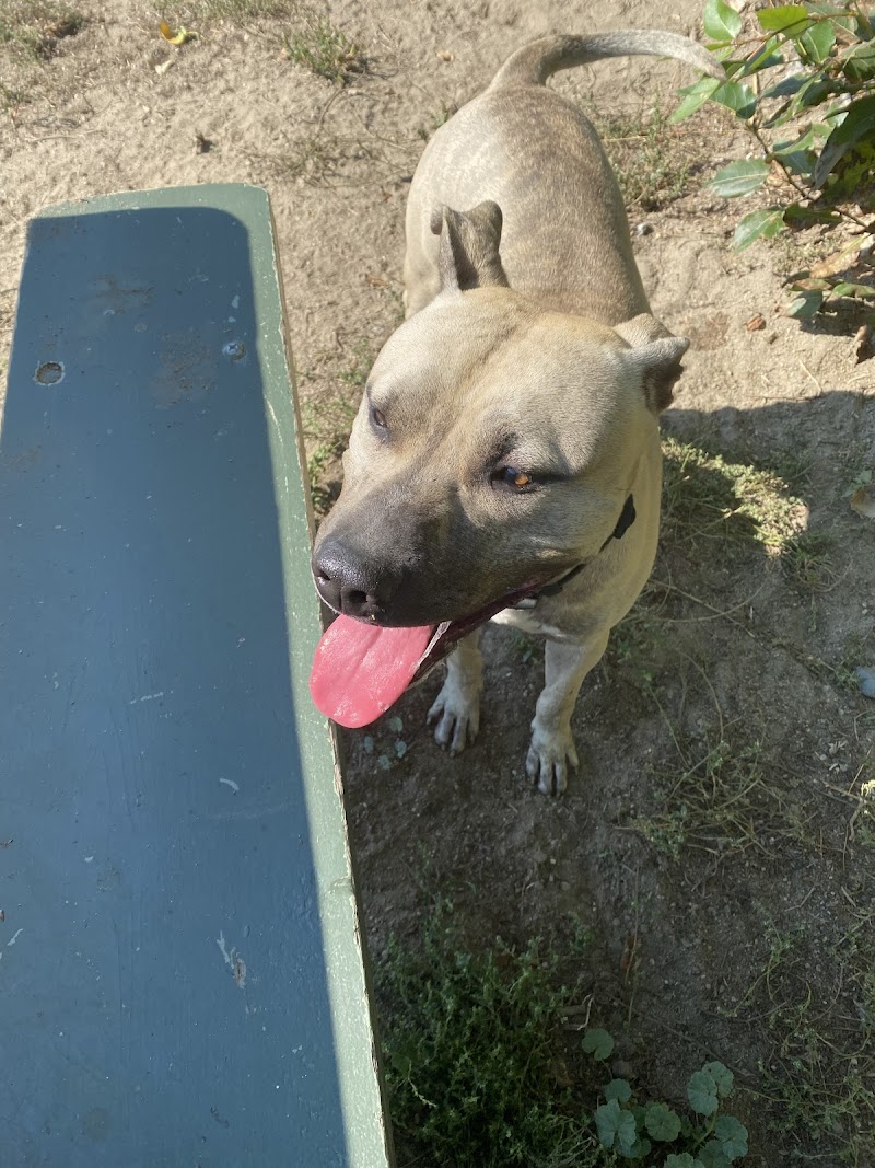 Ellis Creek Dog Park dog park in Penticton, British Columbia