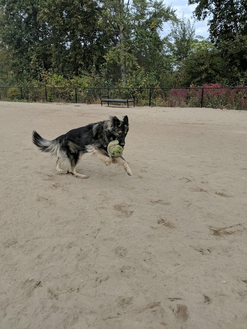 Ellis Creek Dog Park dog park in Penticton, British Columbia