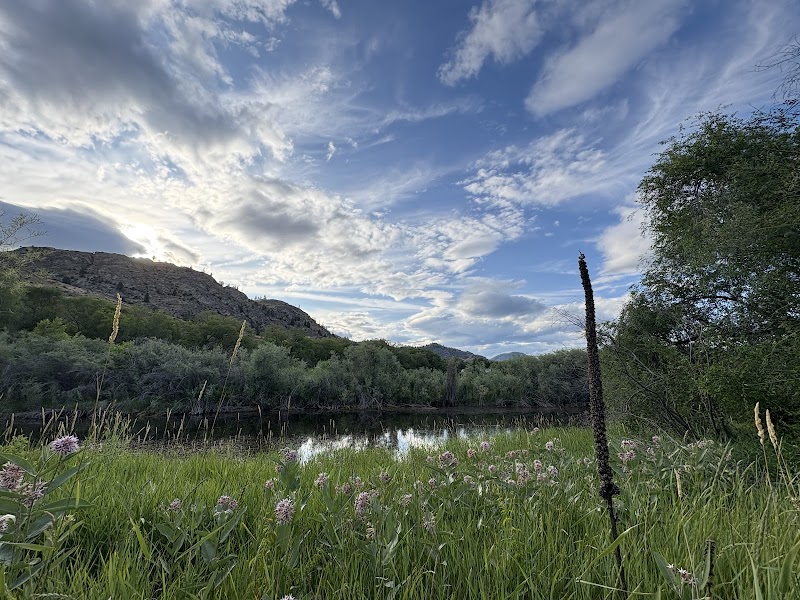 Oliver Off-Leash Dog Park dog park in Oliver, British Columbia