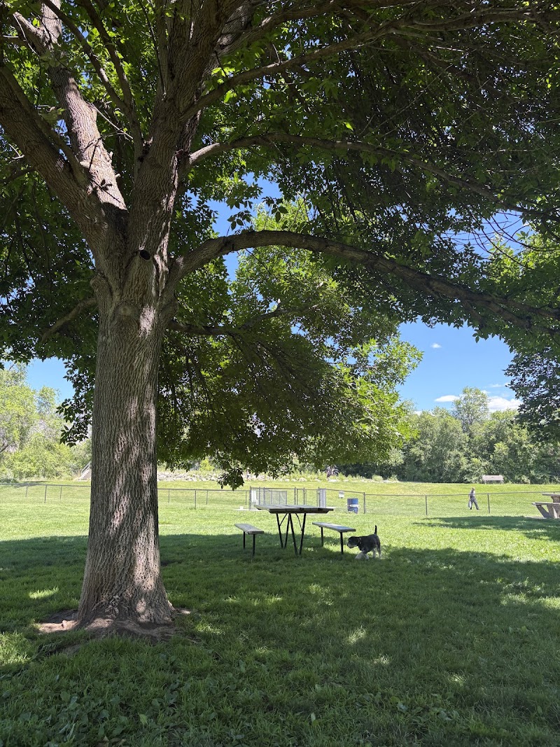 Oliver Off-Leash Dog Park dog park in Oliver, British Columbia