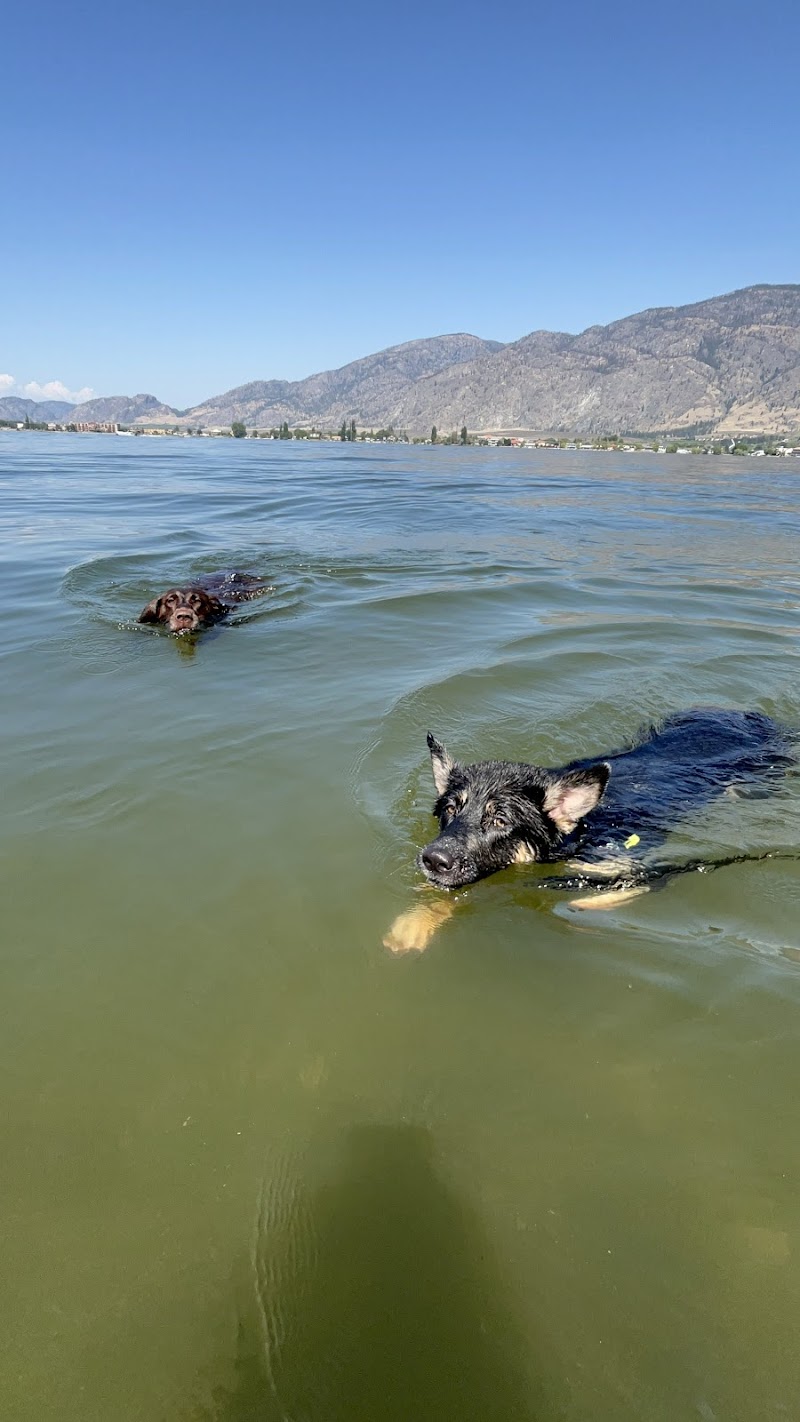 Dog Beach dog park in Osoyoos, British Columbia