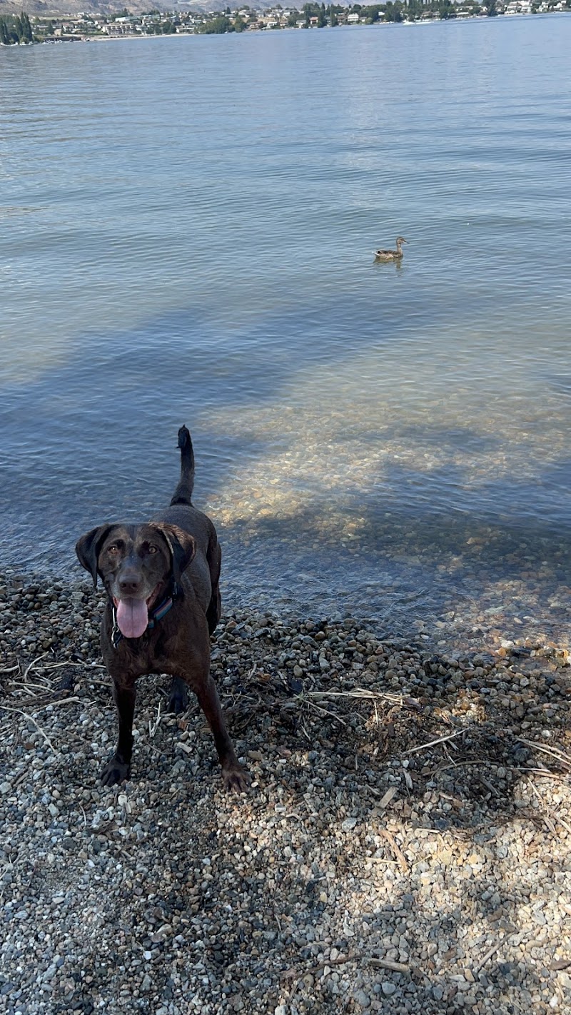 Dog Beach dog park in Osoyoos, British Columbia