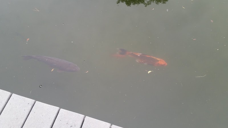 OK Dog Park dog park in Penticton, British Columbia