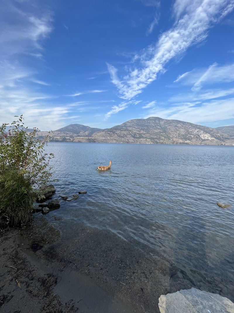 Skaha Dog Park with Beach Access dog park in Penticton, British Columbia
