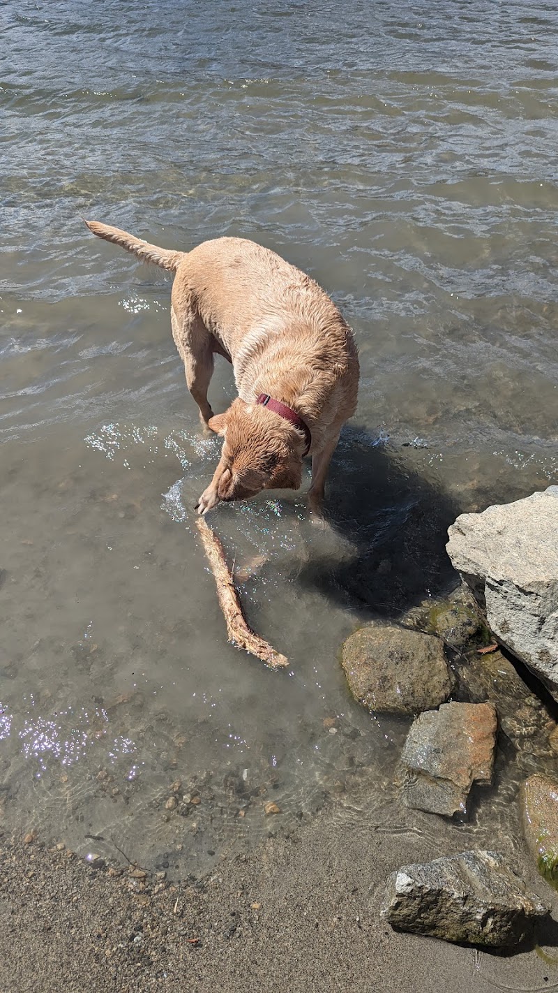 Skaha Dog Park with Beach Access dog park in Penticton, British Columbia
