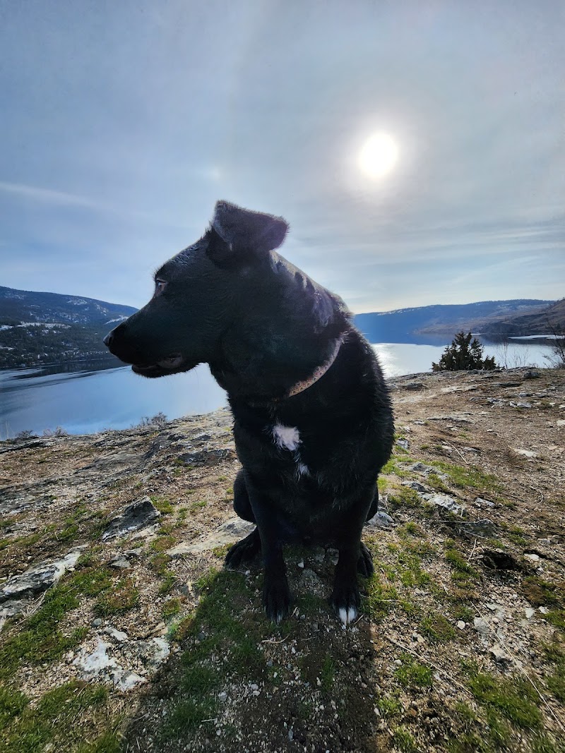 Pet Beach dog park in North Okanagan, British Columbia