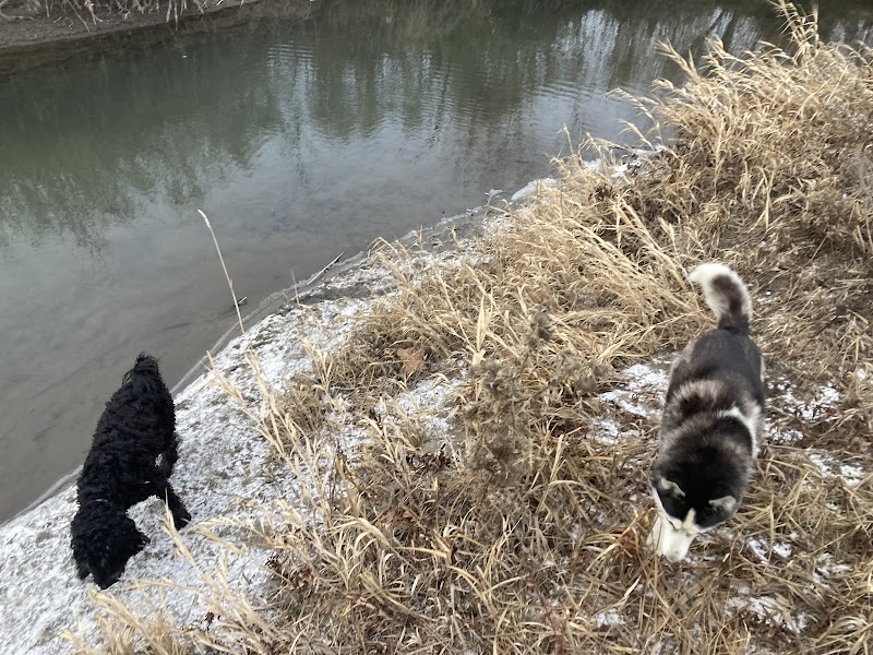 Marshall Fields Dog Park dog park in Vernon, British Columbia