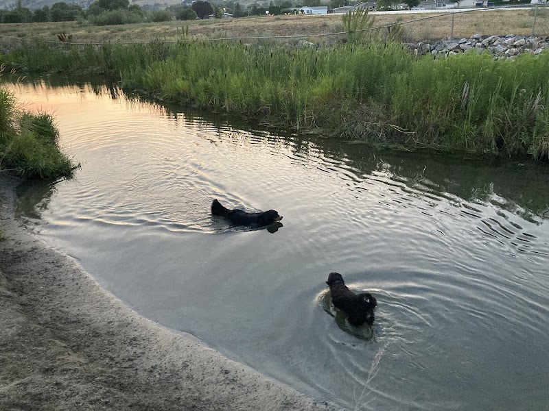 Marshall Fields Dog Park dog park in Vernon, British Columbia