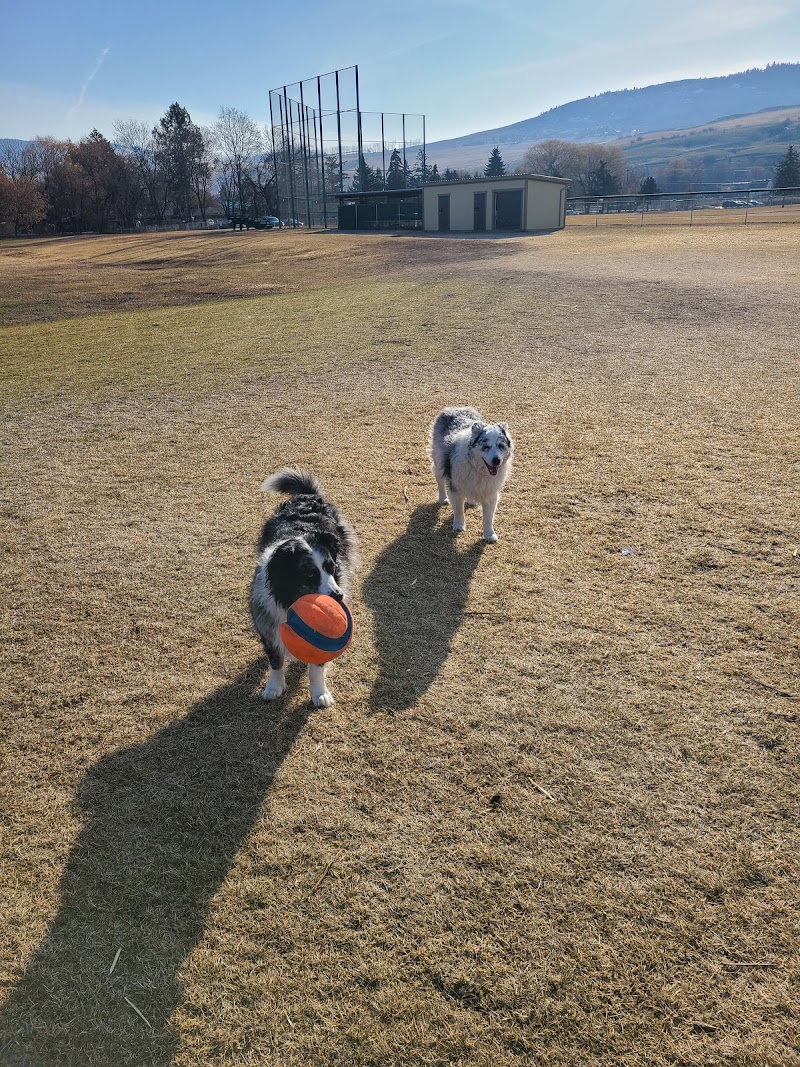 Marshall Fields Dog Park dog park in Vernon, British Columbia