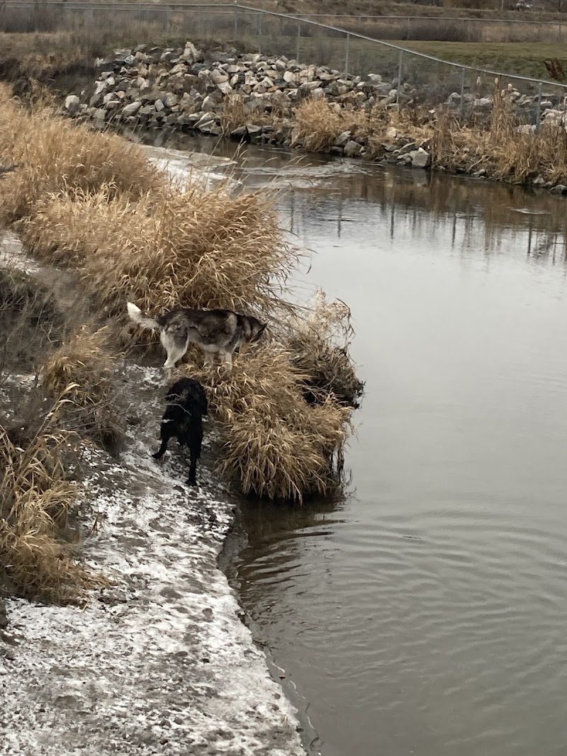 Marshall Fields Dog Park dog park in Vernon, British Columbia
