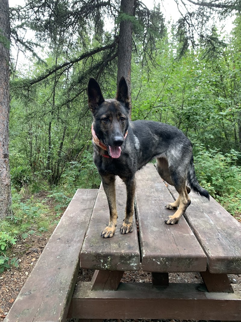 Barbaree Dog Park dog park in Dawson Creek, British Columbia