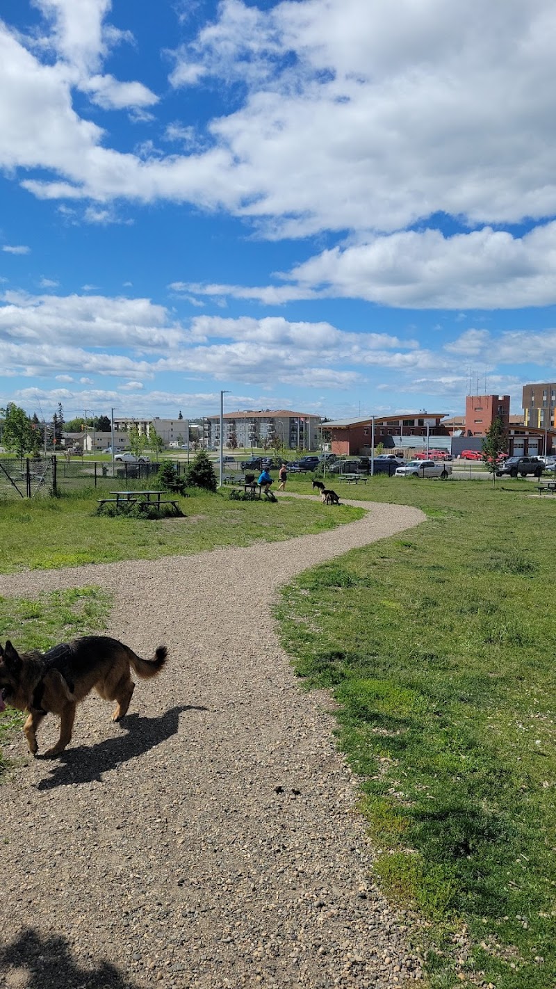 Fort St John Off Leash Dog Park dog park in Fort St John, British Columbia