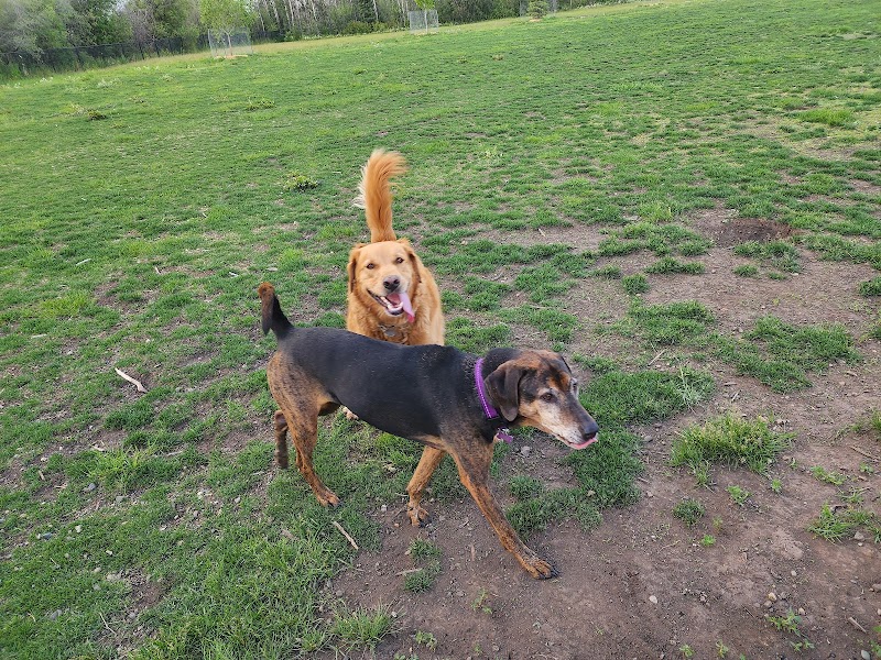 Off Leash Dog Park dog park in Fort St John, British Columbia