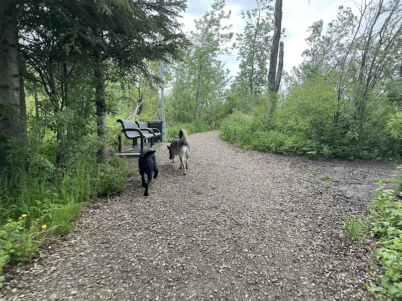 Off Leash Dog Park dog park in Fort St John, British Columbia