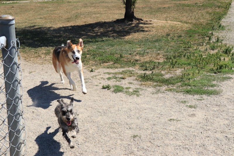 Uplands Dog Off Leash Park dog park in Langley, British Columbia